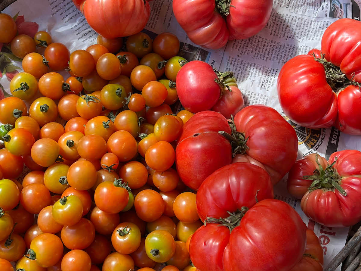 Music of Milk: Playlist 03