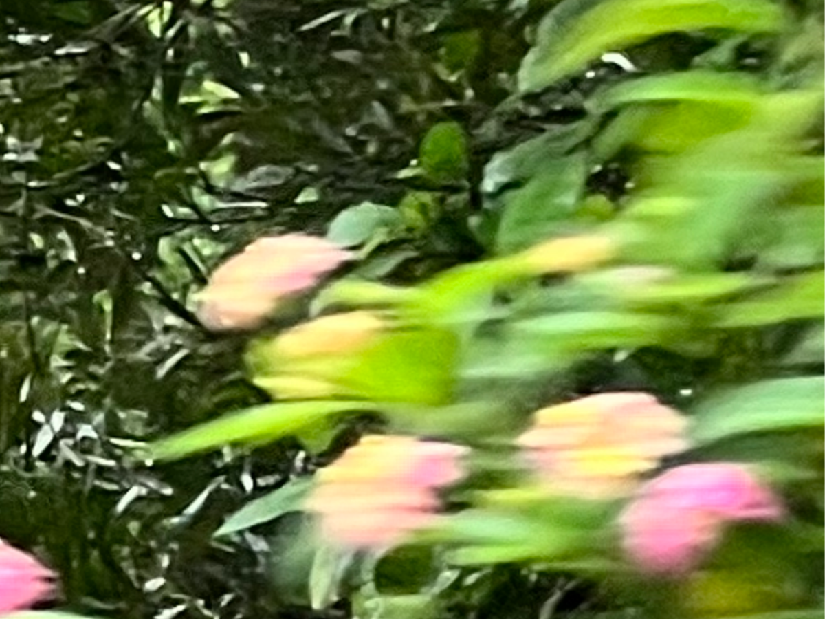 Music of Milk: Playlist 04