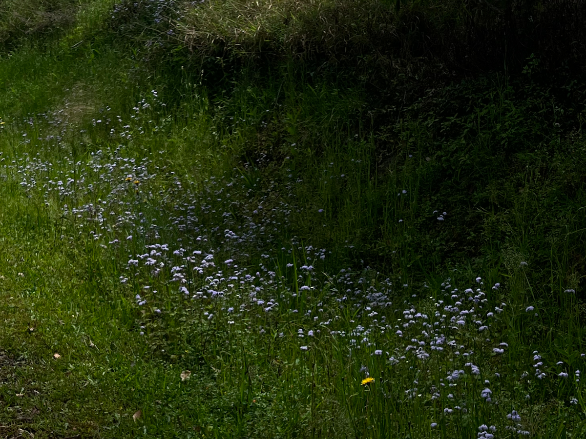 Music of Milk: Playlist 02