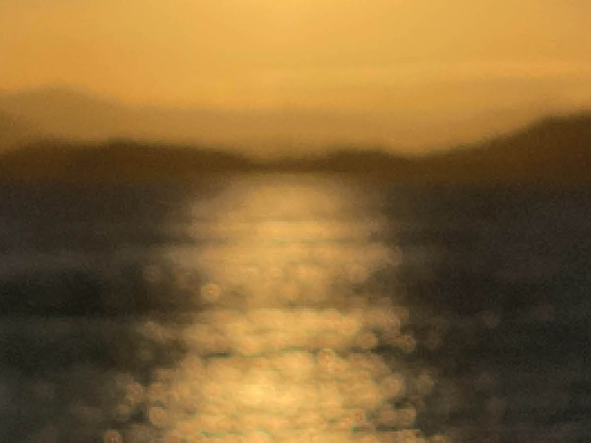 Music of Milk: Playlist 05